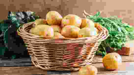 Image Description